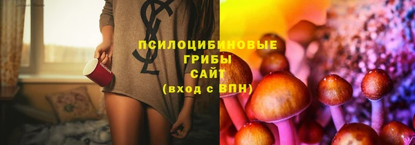 спайс Богородск
