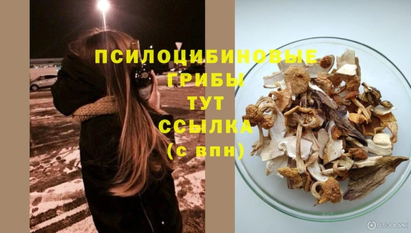 спайс Богородицк