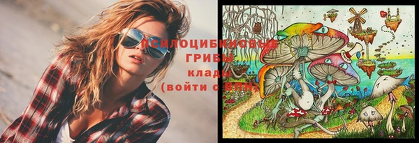 спайс Богородск