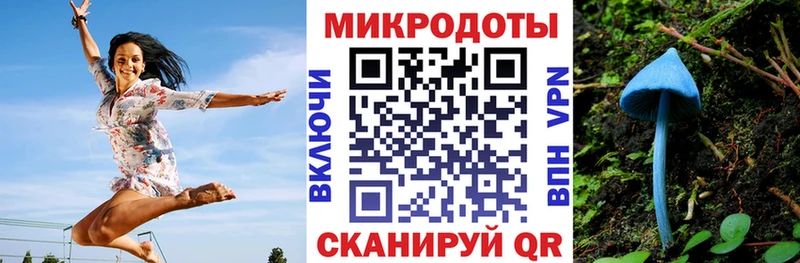 Галлюциногенные грибы MAGIC MUSHROOMS  KRAKEN ONION  Мышкин  как найти наркотики 