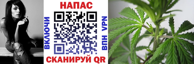 Конопля White Widow  хочу наркоту  Мышкин 