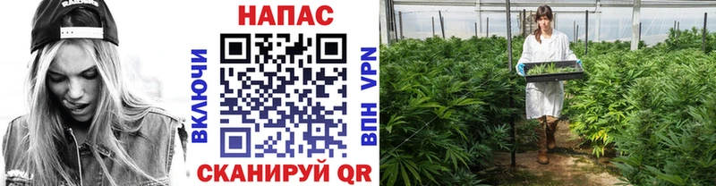 Конопля Amnesia Мышкин